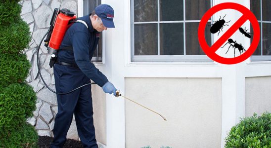 Edremit Hamam Böceği İlaçlama böcek ilaçlama ve haşere kontrolü — ilaclama-tr.com
